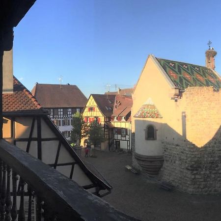 Duplex Saint Lustre, View Over Castle And Storks, 5 Mn From Colmar Eguisheim Extérieur photo