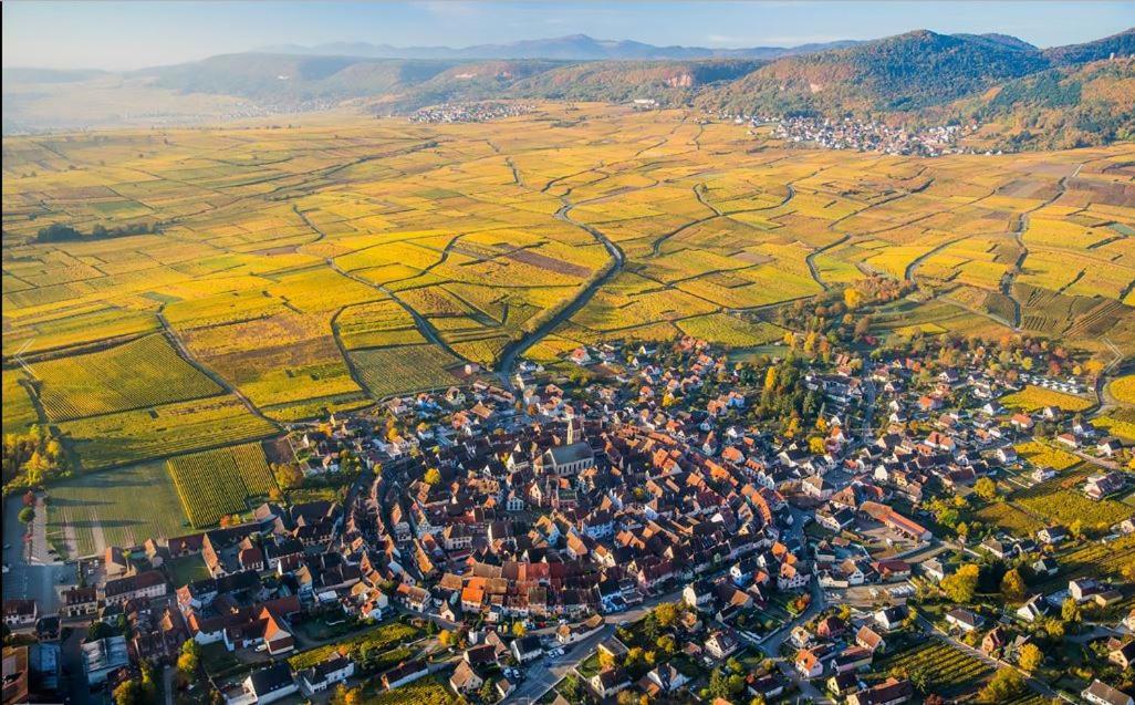 Duplex Saint Lustre, View Over Castle And Storks, 5 Mn From Colmar Eguisheim Extérieur photo