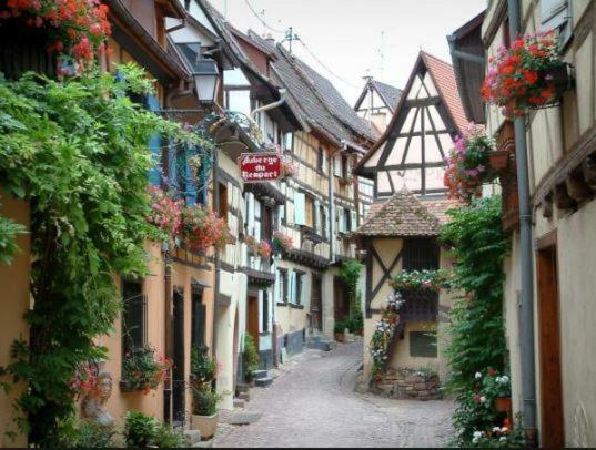 Duplex Saint Lustre, View Over Castle And Storks, 5 Mn From Colmar Eguisheim Extérieur photo