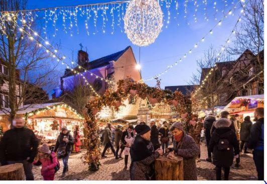 Duplex Saint Lustre, View Over Castle And Storks, 5 Mn From Colmar Eguisheim Extérieur photo